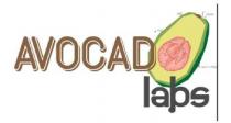 AVOCADO LABS