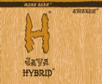 MEAN BEAN H JAVA HYBRID AWAKEN
