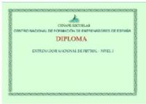 CENAFE ESCUELAS CENTRO NACIONAL DE FORMACION DE ENTRENADORES DE ESPAÑA DIPLOMA ENTRENADOR NACIONAL DE FUTBOL-NIVEL 3