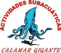 ACTIVIDADES SUBACUATICAS CALAMAR GIGANTE