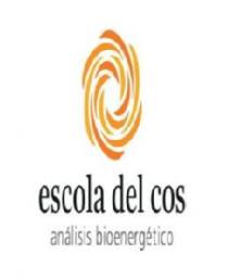 ESCOLA DEL COS ANALISIS BIOENERGETICO
