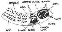 ANGULO