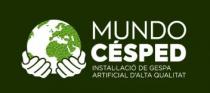 MUNDO CESPED INSTAL.LACIO DE GESPA ARTIFICIAL D'ALTA QUALITAT