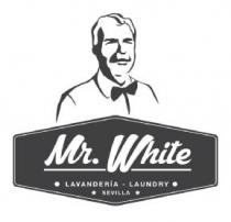 MR. WHITE LAVANDERIA-LAUNDRY SEVILLA