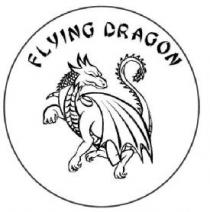 FLYING DRAGON