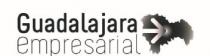 GUADALAJARA EMPRESARIAL
