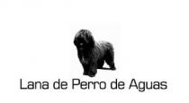 LANA DE PERRO DE AGUAS