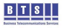 BTS BUSINESS TELECOMMUNICATIONS SERVICES