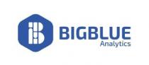 BIGBLUE ANALYTICS