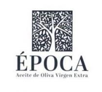 ÉPOCA ACEITE DE OLIVA VIRGEN EXTRA