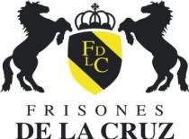 FDLC FRISONES DE LA CRUZ
