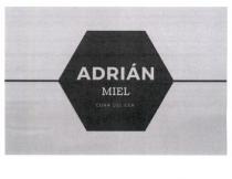 ADRIÁN MIEL CUNA DEL CEA