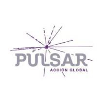 PÚLSAR ACCIÓN GLOBAL