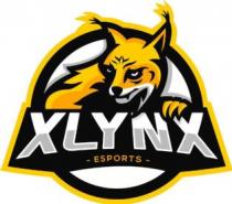 XLYNX ESPORTS