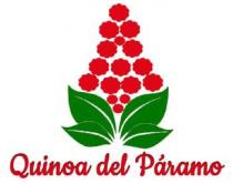 Quinoa del Páramo