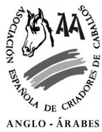 ASOCIACION ESPAÑOLA DE CRIADORES DE CABALLOS AA ANGLO-ARABES