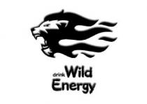 WILD ENERGY DRINK