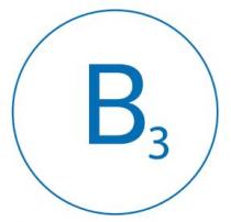 B3