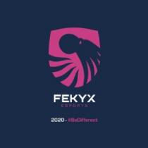 FEKYX ESPORTS 2020-#BEDIFFERENT