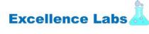 EXCELLENCE LABS