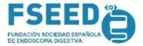 FSEED FUNDACION SOCIEDAD ESPAÑOLA DE ENDOSCOPIA DIGESTIVA