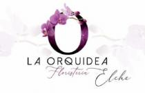 LA ORQUIDEA FLORISTERIA ELCHE