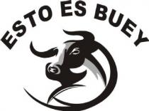ESTO ES BUEY