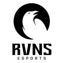 RVNS ESPORTS