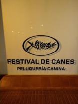 FESTIVAL DE CANES PELUQUERIA CANINA