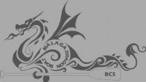 Málaga Dragon Boat BCS