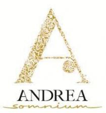 A ANDREA SOMNIUN