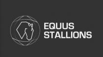 EQUUS STALLIONS