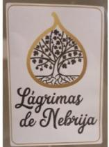 LAGRIMAS DE NEBRIJA