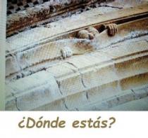 ¿DÓNDE ESTÁS?