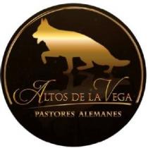 ALTOS DE LA VEGA PASTORES ALEMANES