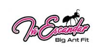 IVI ESCANDAR BIG ANT FIT