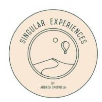 SINGULAR EXPERIENCES BY ANDREA ONDIVIELA