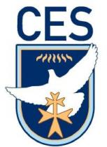 CES