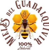 Mieles del Guadalquivir 100% Natural