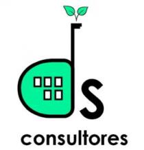 ds consultores