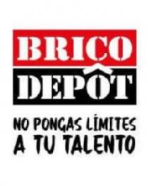 BRICOT DEPOT NO PONGAS LÍMITES A TU TALENTO