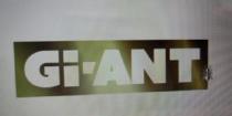 GI-ANT