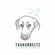 Txakurbeltz peluquería canina