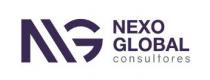 NG NEXO GLOBAL CONSULTORES