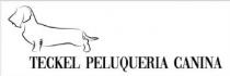 Teckel Peluquería Canina