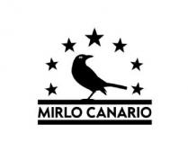 MIRLO CANARIO