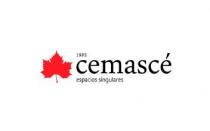 1995 cemascé espacios singulares