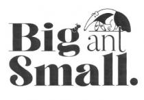 BIG ANT SMALL