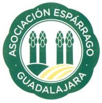 ASOCIACION ESPARRÁGO GUADALAJARA