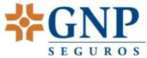 GNP SEGUROS